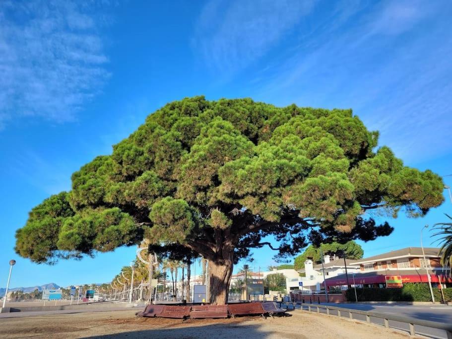 Ferienwohnung Cambrils Dulces Suenos Exterior foto